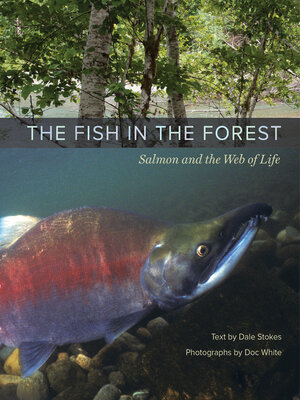 cover image of The Fish in the Forest